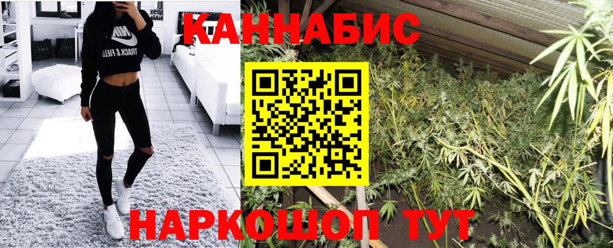 Марихуана конопля Михайловка